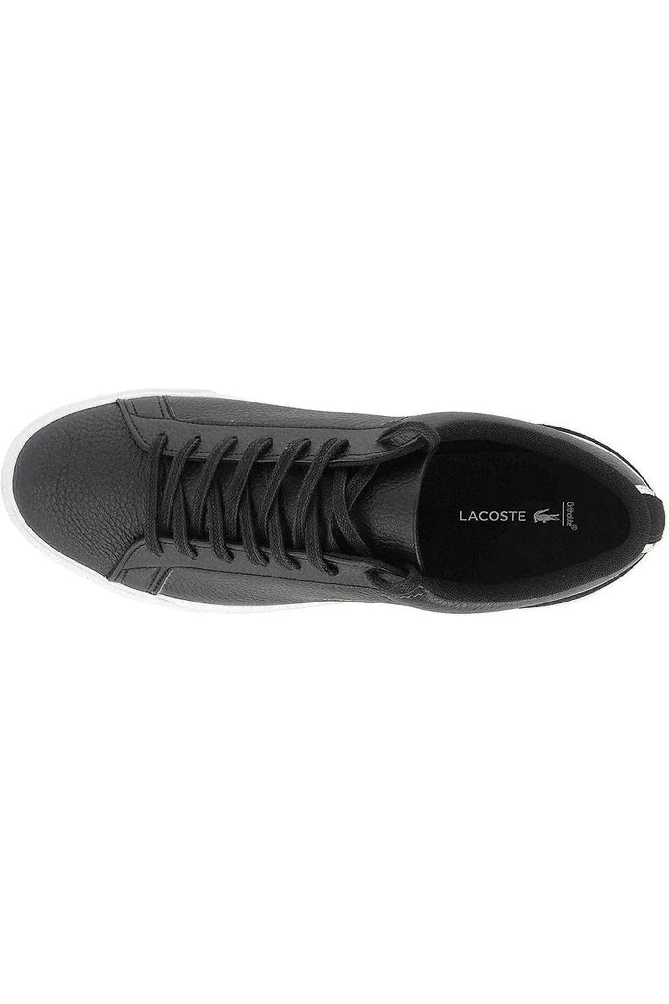 Lacoste Lerond Mens Trainer Black White